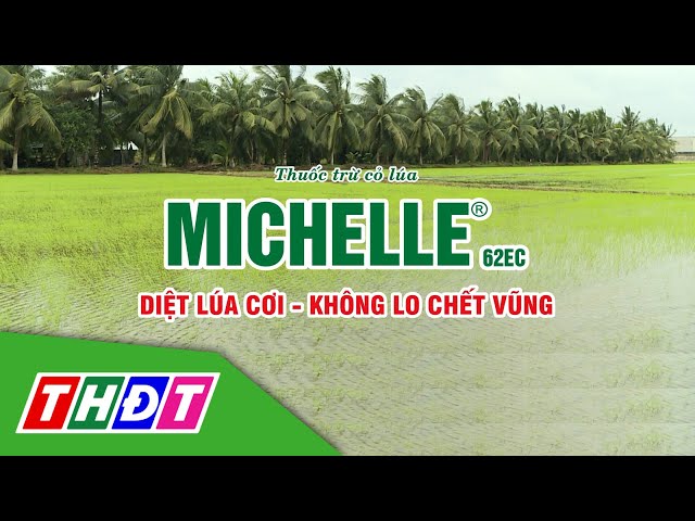 VFC Cánh đồng hội nhập 2024 kỳ 17 - 21/9/2024 | Michelle 62EC-Diệt lúa cơi Không lo chết vũng | THDT