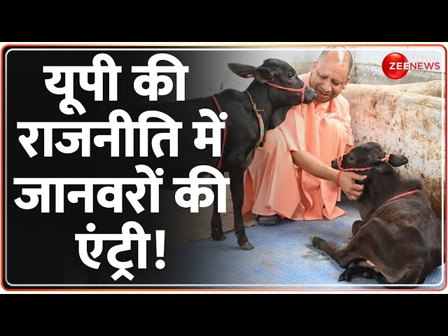 ⁣UP Politics News Today: यूपी की राजनीति में जानवरों की एंट्री! | Yogi | Akhilesh Yadav | Hindi news