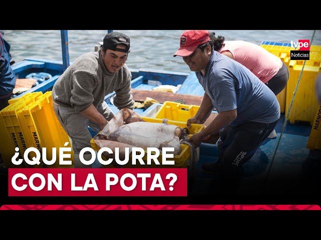 ⁣¿Por qué incrementó el precio de la pota en Perú?