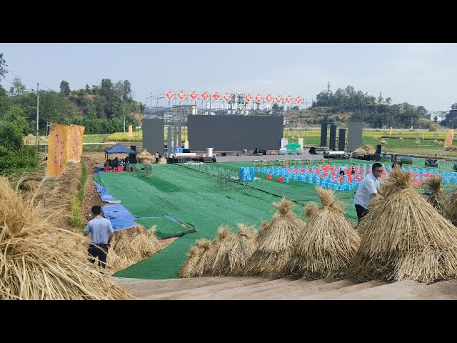 Live: Fishing competition and rice blading in southwest China's Fuling