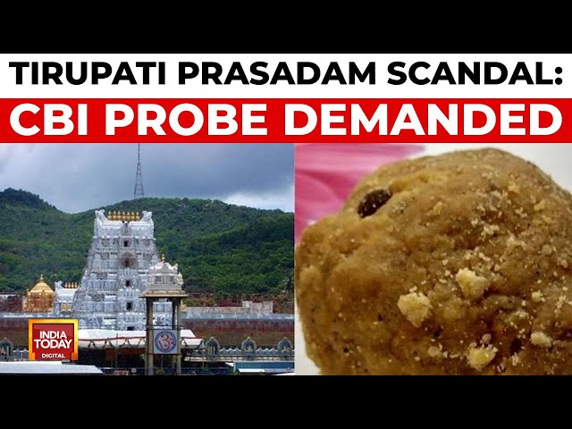 ⁣Tirupati Prasadam Controversy: Nationwide Outrage, Political Showdown, CBI Probe Demanded