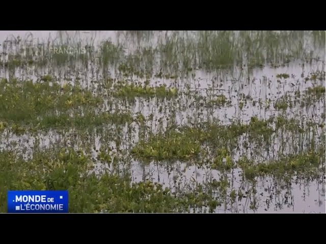 ⁣Les petits agriculteurs des pays en développement parmi les plus vulnérable au changement climatique