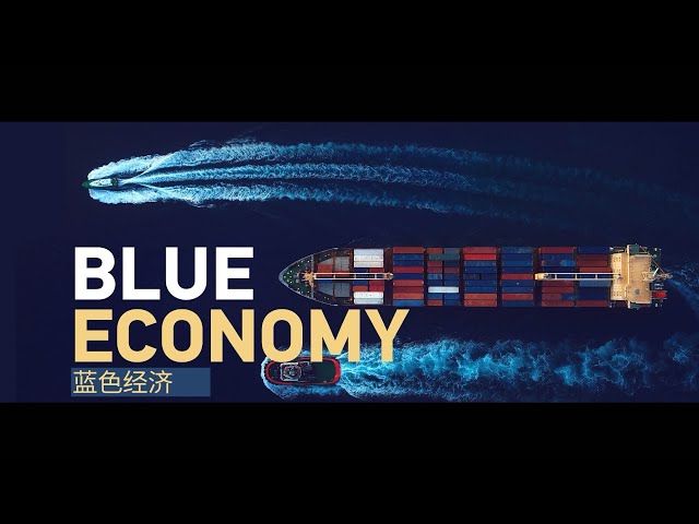 ⁣L'économie bleue