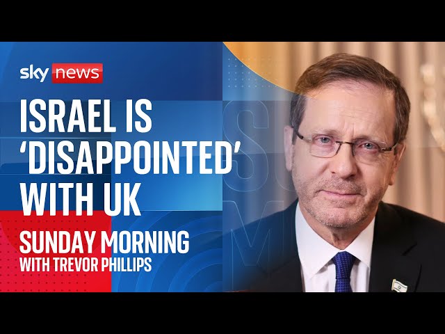 ⁣'Sense of disappointment in Israel' over UK's decisions about Middle East, says Israe