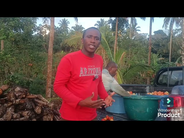 Le CRDE DE SIMBOUSSA secouru aux agriculteurs pour les aider dans les tâches les plus difficiles