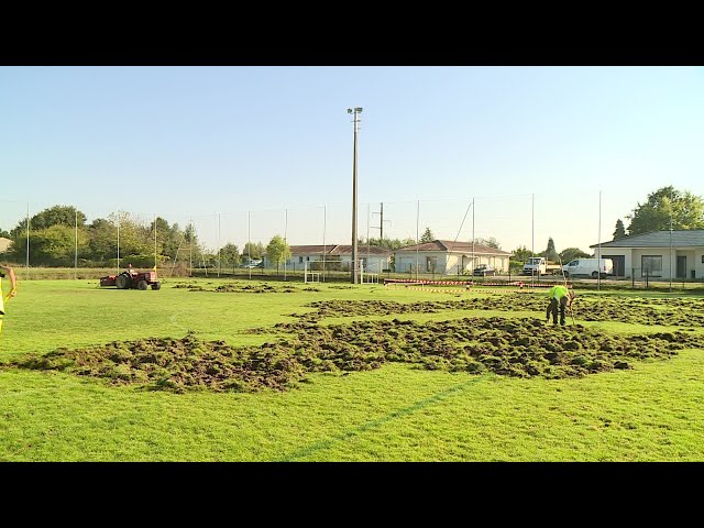 Coulounieix-Chamiers : des sangliers dévastent le terrain de foot