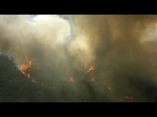 ⁣Hunderte bei Beerdigung dreier Feuerwehrleute in Portugal