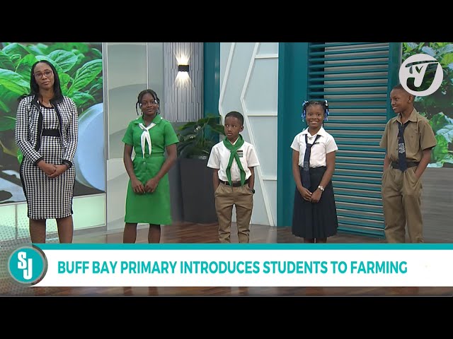 ⁣Buff Bay Primary Introduces Students to Farming | TVJ Smile Jamaica