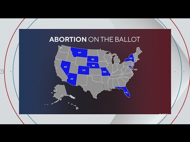 Facing South Florida: Florida's abortion amendment