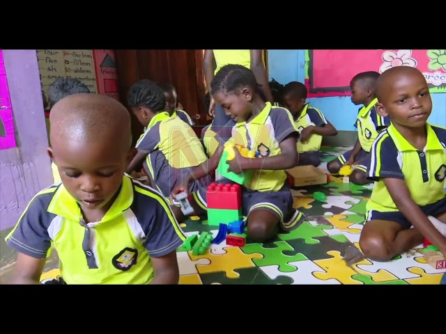 ⁣Report calls for free pre-primary education amid low enrollment