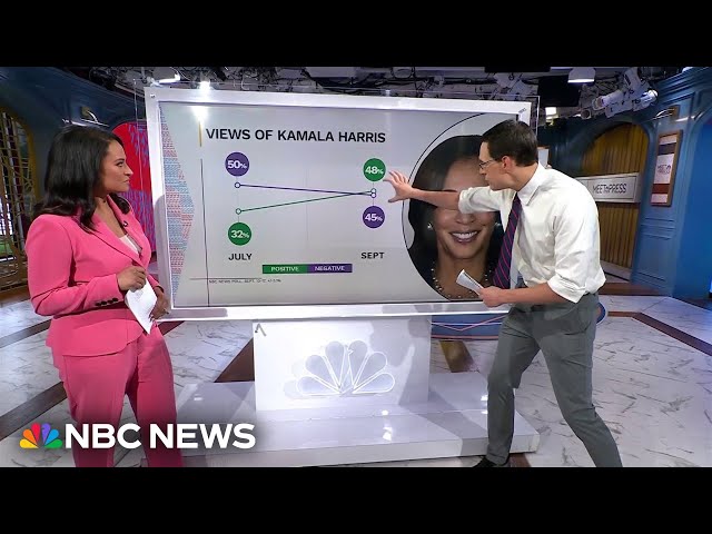 ⁣Steve Kornacki: Newly popular Harris builds momentum, challenging Trump for the mantle of change