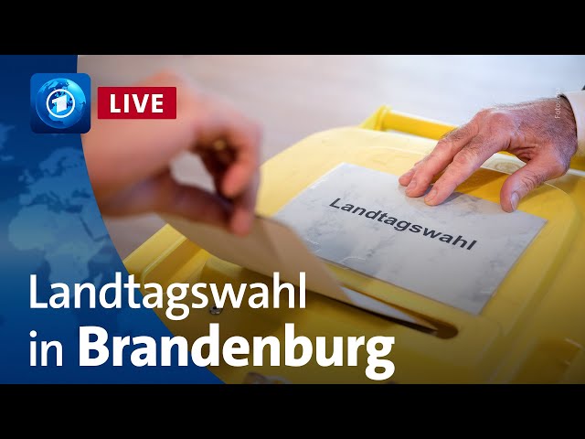 ⁣Brandenburg hat gewählt: ARD-Sondersendung zur Landtagswahl