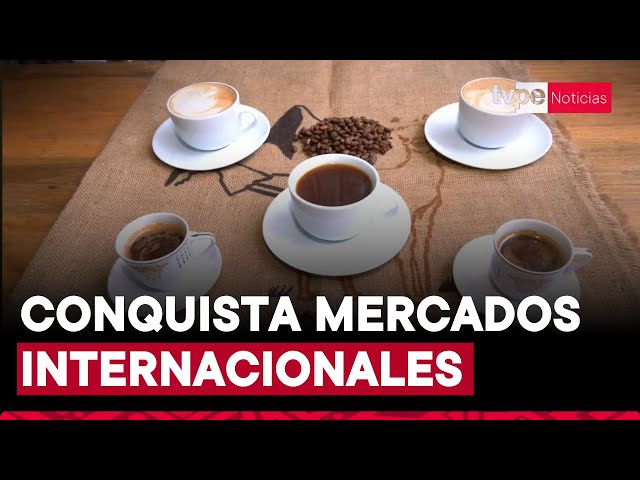 ⁣Café peruano: ¿dónde se produce y cómo se cultiva el producto nacional que brilla en el exterior?