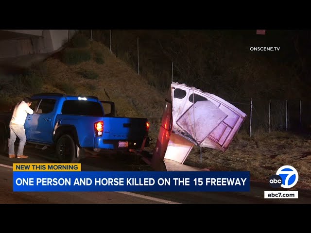 ⁣Person, horse killed in crash on 15 Freeway in Norco