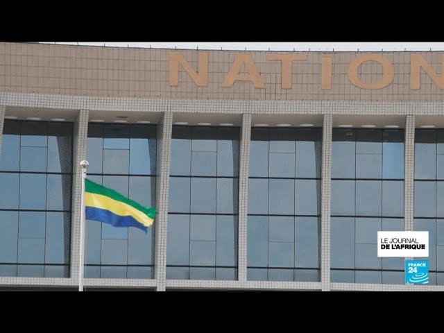 ⁣Le projet d'une nouvelle constitution au Gabon peine à rassembler • FRANCE 24