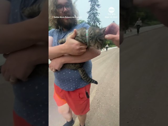 ⁣Cat rescued from sewer after missing for nearly two months