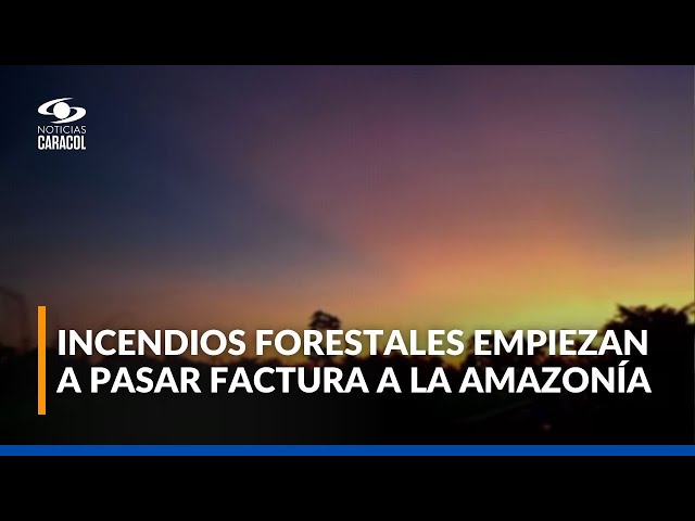 ⁣Alerta en el Amazonas: capa de humo está cubriendo parte del cielo