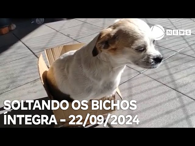 Soltando os Bichos - 22/09/2024