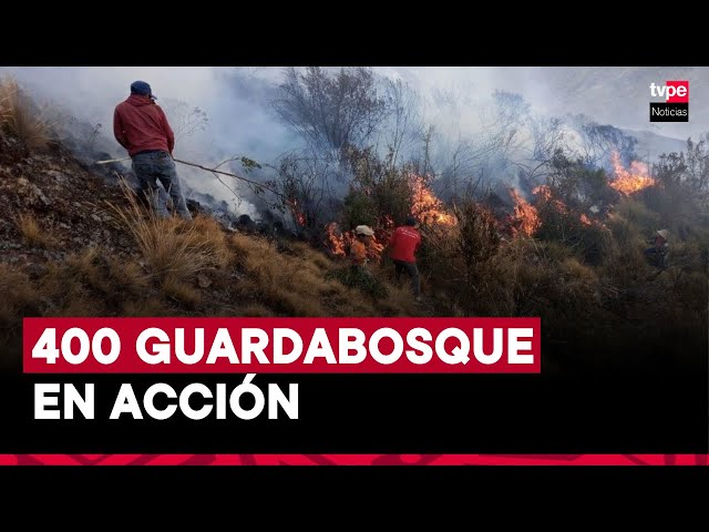 ⁣SERNANP: nuevos focos de incendios en San Martín y Áncash