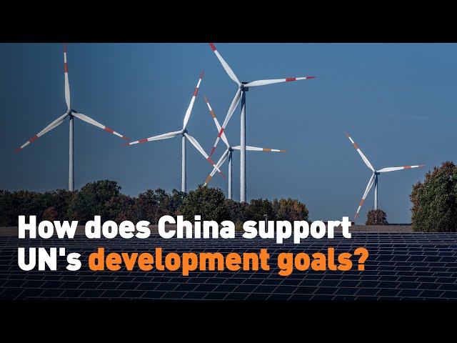 ⁣How does China support UN's development goals?