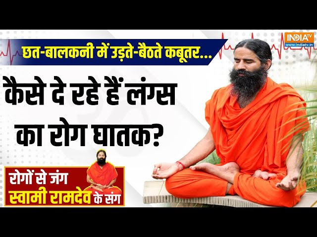 ⁣Yoga LIVE: छत-बालकनी में उड़ते-बैठते कबूतर...कैसे दे रहे हैं लंग्स का रोग घातक? | Swami Ramdev |Yoga