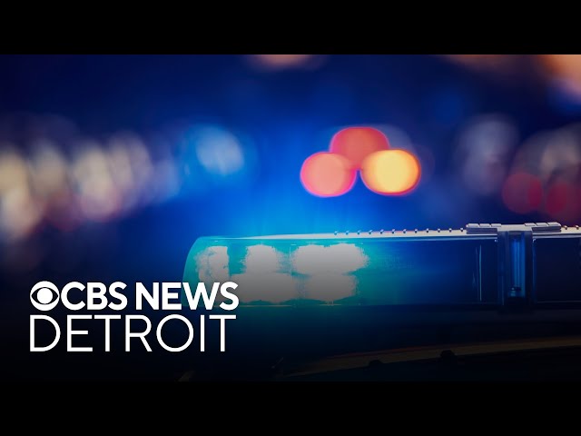 4 men charged in death of woman in Dearborn, police say