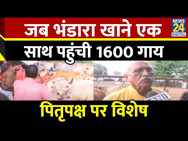 ⁣Madhya Pradesh के विदिशा जिले में 1600 गायों के लिए किया गया भंडारा का आयोजन, पितृपक्ष पर विशेष