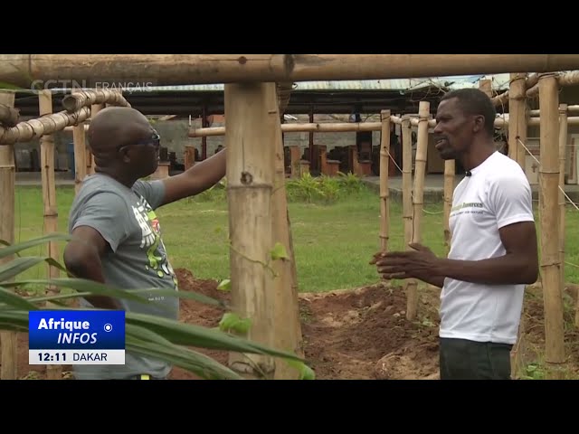 ⁣Un agriculteur nigérian cherche à sauver des légumes indigènes