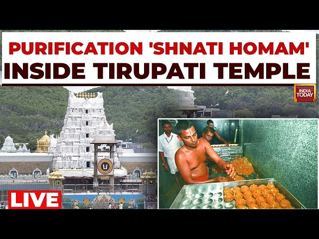 ⁣Tirupati Laddoo Row LIVE: Ritualistic Cleansing At Andhra's Tirupati Temple Amid Laddoo Row