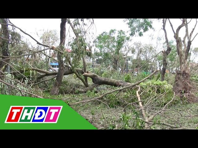 ⁣Cần kế hoạch cho cây xanh đô thị | THDT