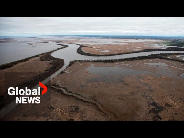 ⁣Lake Winnipeg should be legally granted personhood, Manitoba chiefs say