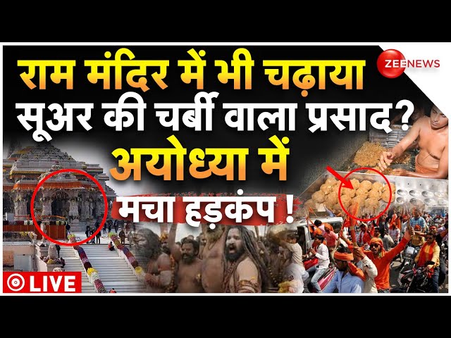 ⁣Tirupati Laddu Controversy In Ram Mandir LIVE:राम मंदिर में सूअर की चर्बी वाले प्रसाद से मचा हड़कंप!