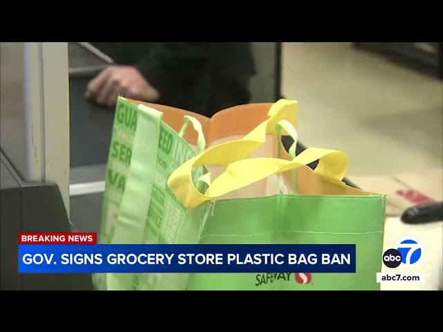 California to ban plastic bags at stores starting 2026