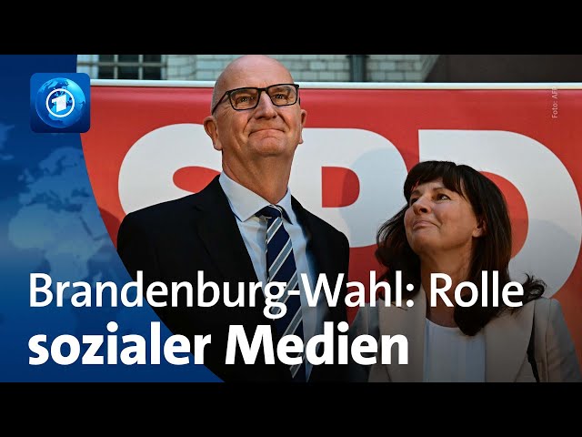 ⁣Rolle der sozialen Medien bei der Landtagswahl in Brandenburg