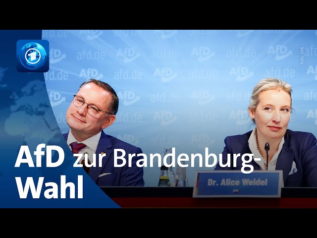 AfD-Bundessprecher:innen Weidel und Chrupalla zur Landtagswahl in Brandenburg