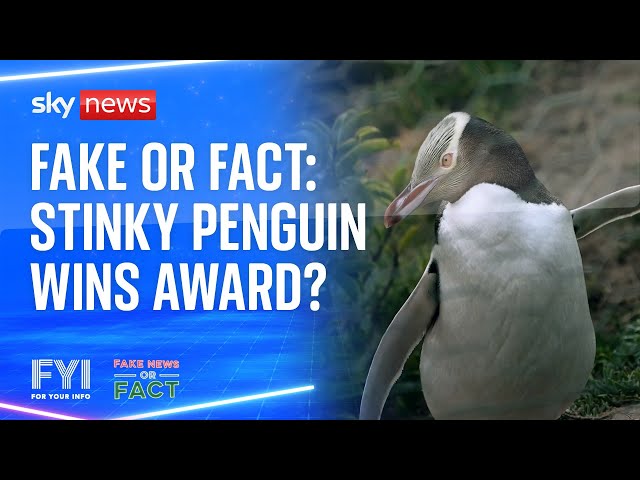 ⁣Fake or Fact: Stinky penguin wins award?