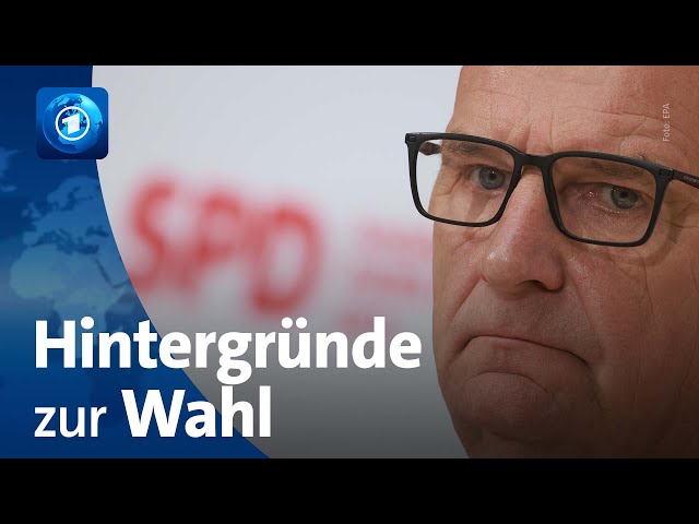 ⁣Analyse und Hintergründe nach Landtagswahl in Brandenburg