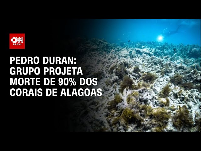 ⁣Pedro Duran: Grupo projeta morte de 90% dos corais de Alagoas | CNN NOVO DIA