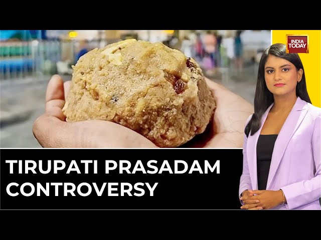 6PM Prime LIVE: Tirupati Prasadam Controversy Live | Tirupati Laddu Row Live | India Today Live