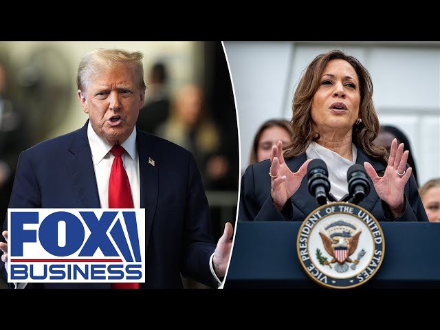 ⁣‘TOTAL FRAUD’: Trump needs to expose Harris, says GOP rep