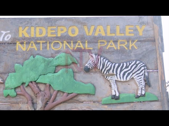 ⁣UWA to fence Kidepo National Park