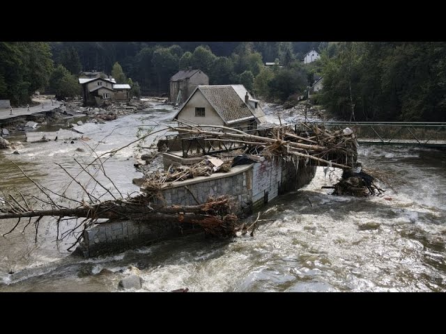 ⁣Wetter atmosphere may have exacerbated Central European floods, climatologist says