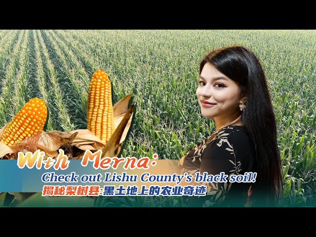 ⁣With Merna: Check out Lishu County's black soil!