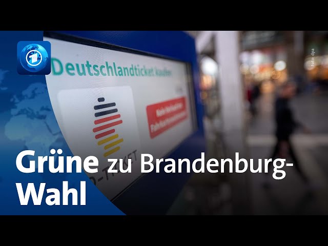 ⁣Grüne ernüchtert nach Landtagswahl in Brandenburg