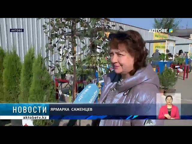 Ярмарка  саженцев