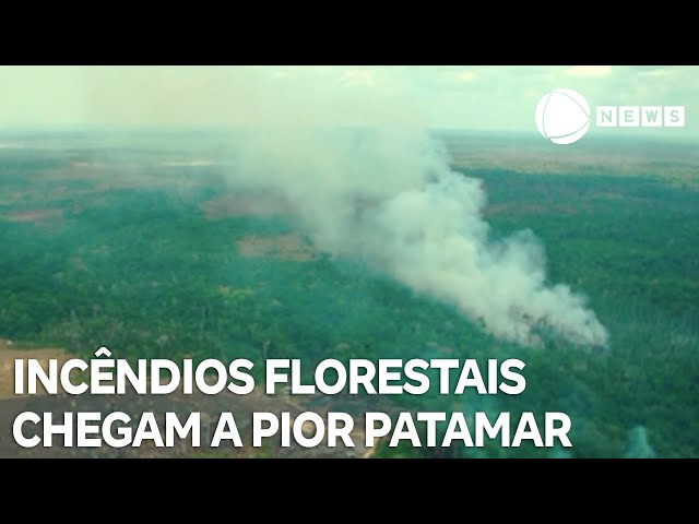 Incêndios chegam a pior patamar em quase duas décadas, aponta relatório