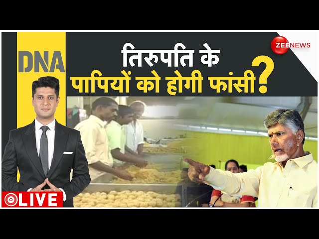 DNA LIVE : तिरुपति मंदिर में चर्बी के लड्डू बनाने वाले पापियों को होगी फांसी?| Tirupati Laddu Row