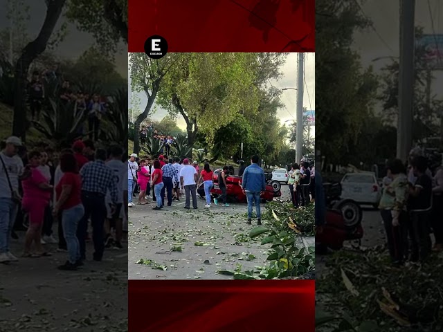 ⁣Detienen a conductor que volcó automóvil en Río Churubusco; accidente dejó un muerto