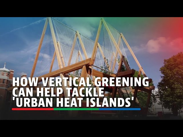 ⁣How vertical greening can help tackle 'urban heat islands' | ABS-CBN News