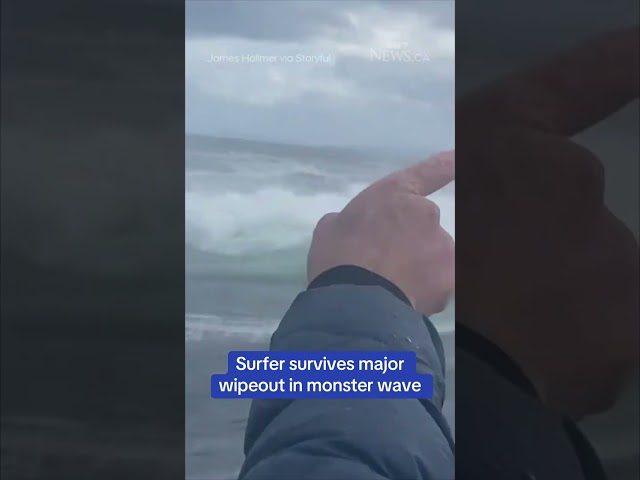 ⁣Surfer survives major wipeout in 'gnarly' wave